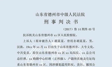 胡某某挪用公款、貪污（二審）