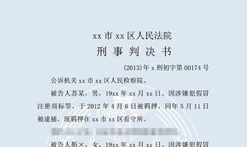 靳某等假冒注冊商標(biāo)案（一審）