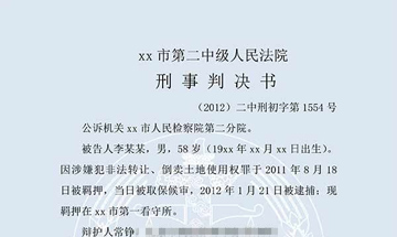 李某某非法經(jīng)營罪（一審）