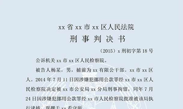 楊某挪用公款案（一審）