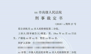 胡某虛開增值稅專用發(fā)票（二審）