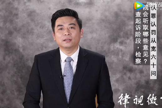 在審查起訴階段，檢察院會聽取哪些意見？