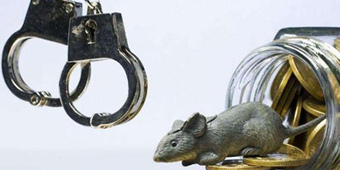 經(jīng)濟(jì)犯罪都有哪些種類？