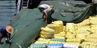 走私犯罪案件具體包括哪些罪名？