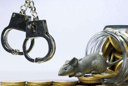 經(jīng)濟(jì)犯罪都有哪些種類？(圖1)