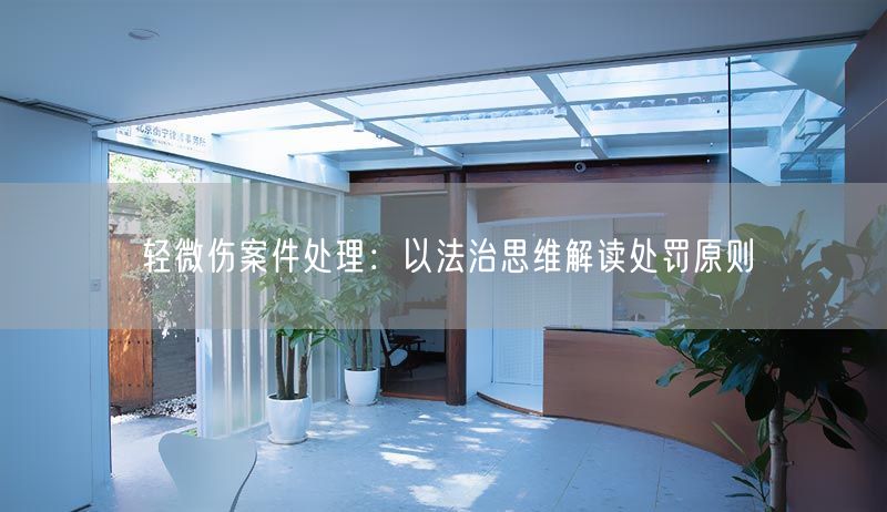 輕微傷案件處理：以法治思維解讀處罰原則